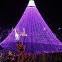 Sheila 65.6 Feet 200LED String Lights 8 Mode Flashing Controller Fairy Twinkle Decorative Lights for Kids Bedroom, Wedding, Chirstmas Tree, Festival Party, Garden, Patio, Room Decoration (Purple)