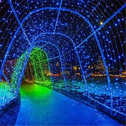 Twinkle Star 300 LED Christmas Mini String Lights, 99 FT Fairy Lights with Safe Adapter for Indoor Outdoor Home Garden Party Christmas Decoration, Blue