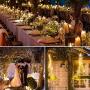 LE Wine Bottle Lights with Cork, 6.6ft 20 LED Battery Operated String Lights, Warm White Decorative Fairy Lights, Mini Copper Wire Lights for Bedroom Decor, Christmas Party Wedding Decorations, 8 Pack