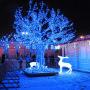 JMEXSUSS 173ft 500 LED Christmas Lights Outdoor Waterproof String Lights Plug in Indoor String Lights for Christmas (Blue)