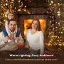 TaoTronics LED String Lights 33 ft with 100 LEDs, Waterproof Decorative Lights for Bedroom, Patio, Parties (Copper Wire Lights, Warm White)