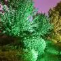 KOMAES Solar Landscape Spotlights Outdoor, Waterproof Solar Spot Light, Auto On/Off Solar Lights Green, Adjustable Solar Garden Light for Driveway,Pathway,Pool,Patio,Garden,Walkways (Green-4 Packs)