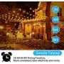 Palawell Outdoor Dimmer, 350W 100Ft Dimmer Switch for String Lights Dimmable Brightness 25% 50% 75% 100%,Outdoor String Light/LED Bulb Timer 2H 4H 6H 8H