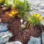 Marcoah Upgraded Solar Flower Lights - Outdoor Waterproof LED Flowers for Garden, Path, Landscape, Patio, and Lawn (Calla Lily, Yellow and White) - 2 Pack