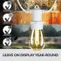 SUNTHIN 48ft White Outdoor String Light Kit with 1W Dimmable LED Bulbs for Outdoor Weddings Lights, Commercial Patio String Lights, Backyard Lights and Party Light