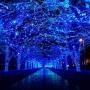 VTECHOLOGY Christmas String Lights, 33FT 100 LEDs Indoor String Lights 8 Modes with End-to-End Plug Fairy Lights Decoration for Indoor Outdoor, Blue (Clear Wire)