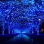 VTECHOLOGY Christmas String Lights, 33FT 100 LEDs Indoor String Lights 8 Modes with End-to-End Plug Fairy Lights Decoration for Indoor Outdoor, Blue (Clear Wire)