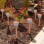 Solar Lights Outdoor Pathway - 8 Pack Copper Garden Walkway Lights Solar Powered Waterproof Outdoor Lights for Garden, Lawn, Yard, Walkway, Pathway, Landscaping