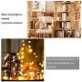 WERTIOO 33ft 100 LEDs Battery Operated String Lights Globe Fairy Lights with Remote Control for Outdoor/Indoor Bedroom,Garden,Christmas Tree[8 Modes,Timer ] (Warm White)