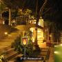 Solar Torch Lights Outdoor, 2 Pack Waterproof Flickering Flame Torches Lights Solar Powered Pathway Landscape Decoration Lighting Auto On/Off for Garden Patio Yard