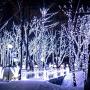 Jiamao 2 Pack 42.7ft 100 LED Solar Christmas Light 8 Modes Waterproof Solar String Light Outdoor Solar Fairy String Lights for Garden,Wedding,Party, Patio,Christmas Decoration (White)