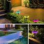 Solar Lights Outdoor 7 Color Changing Solar Pathway Lights Outdoor Garden Lights Landscape Lighting Weatherproof Auto On/Off for Garden Lawn Patio Yard Walkway Sidewalk Driveway (4Pack)