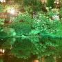 KOMAES Solar Landscape Spotlights Outdoor, Waterproof Solar Spot Light, Auto On/Off Solar Lights Green, Adjustable Solar Garden Light for Driveway,Pathway,Pool,Patio,Garden,Walkways (Green-4 Packs)