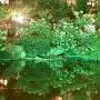 KOMAES Solar Landscape Spotlights Outdoor, Waterproof Solar Spot Light, Auto On/Off Solar Lights Green, Adjustable Solar Garden Light for Driveway,Pathway,Pool,Patio,Garden,Walkways (Green-4 Packs)