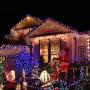JMEXSUSS Solar String Light 600LED 206.7ft 8 Modes Solar Christmas Lights Waterproof Outdoor Fairy String Lights for Gardens, Wedding, Party, Christmas Tree,Xams,Outdoors (600LED, Multicolor)…