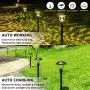 GIGALUMI 8 Pack Solar Pathway Lights, Solar Garden Lights Outdoor Warm White, Waterproof Led Path Lights for Yard, Patio, Landscape, Walkway (Brown) GIGALUMI 8 Pack Solar Pathway Lights, Solar Garden Lights Outdoor Warm White, Waterproof Led Path Lights for Yard, Patio, Landscape, Walkway (Brown)