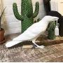 Crow Table Lamp,Bird Table Lamps Artificial Bird Shaped Table Lamp Bedroom Resin Crow Desk Lamp Bedside Light for Bedroom,Bedside,Living Room,Corridor (White)