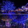 2 Pack Solar String Light Outdoor , 78 Feet 240 LED Outdoor Waterproof Copper Wire 8 Modes Fairy Lights for Garden, Patio,Yard, Christmas, Home, Wedding, Party Decoration (Blue) 2 Pack Solar String Light Outdoor , 78 Feet 240 LED Outdoor Waterproof Copper Wire 8 Modes Fairy Lights for Garden, Patio,Yard, Christmas, Home, Wedding, Party Decoration (Blue)