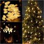 C9 Outdoor Christmas Lights 31ft 50 LED String Lights Connectable Commercial Grade Outdoor & Indoor Xmas Decorative Light Strand for Christmas Trees Halloween Garden Patio Parties Decor Warm White