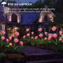 HeyMate Solar Garden Lights Outdoor 2 Pack Solar Pink Rose Flower Lights with 10 Roses Solar Christmas Decorative Lights Waterproof for Patio,Backyard,Yard,Pathway,Xmas Decorations