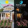 HeyMate Solar Garden Lights Outdoor 2 Pack Solar Pink Rose Flower Lights with 10 Roses Solar Christmas Decorative Lights Waterproof for Patio,Backyard,Yard,Pathway,Xmas Decorations