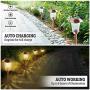 Otdair Solar Pathway Lights Outdoor, Solar Path Lights Waterproof IP65, Solar Landscape Lighting Outdoor with 201 Stainless Steel, 2 Modes, for Garden, Landscape, Path, Yard, Patio, Warm White, 4 PCS