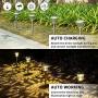 GIGALUMI 8 Pack Solar Pathway Lights, Solar Garden Lights Outdoor Warm White, Waterproof Led Path Lights for Yard, Patio, Landscape, Walkway (Stainless Steel)