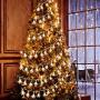 8 Modes Christmas String Lights 10 Feet 30 LED Christmas Snowflake Fairy Lights Battery Operated Waterproof Lights for Home Garden Patio Bedroom Christmas Outdoor Indoor Decorations (Warm White)