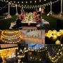 FuNiao Solar String Lights Outdoor 2 Pack 30 LED Crystal Ball Globe Lights with 8 Lighting Modes, Waterproof Solar Powered Patio Lights for Garden Yard Canopy Porch Wedding Party Decor (Warm White)