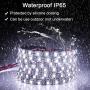 ALITOVE 16.4ft 5050 SMD Black PCB Cool White LED Flexible Strip Ribbon Light 5M 300 LEDs Waterproof IP65 DC 12V for Home Garden Commercial Area Lighting