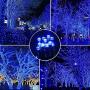 Baimo 2 Pack 33ft Solar String Lights, 100 LED 8 Modes Waterproof Fairy Lights for Garden, Tree, Yard, Christmas, Wedding, Party Outdoor Indoor (Blue)