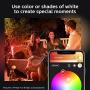 Philips Hue Lily White & Color Outdoor Smart Spot light Extension (Hue Hub & Power Source required), 1 Hue White & Color Smart Spot light + mount kit, Works with Alexa, HomeKit & Google Assistant