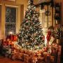 EEW 95FT 240LED Christmas Lights, Waterproof Christmas String Lights Indoor/Outdoor, 8 Mode Green Wire Clear Bulbs Twinkle Lights for Xmas Tree Decorations Wedding Party (Warm White)