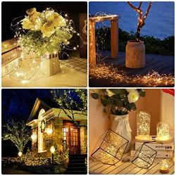 LE Fairy Lights with Switch, 66ft 200 LED, Plug in, Waterproof, Indoor Outdoor Decorative Copper String Light for Bedroom, Patio, Party, Wedding, Christmas, Holiday Décor and More