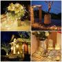 LE String Lights 33ft with 100 LEDs, Waterproof Copper Wire Lights, Outdoor & Indoor Decorative Fairy Lights for Bedroom, Patio, Garden, Party, Wedding, Christmas and More