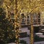 Twinkle Star Outdoor Christmas Lights Battery Operated 50 LED Mini String Light with 8 Modes, 16ft Waterproof Fairy Lights for Garden Xmas Tree Wedding Wreath Party Decoration (Warm White, 2 Pack)