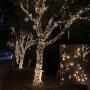Qunlight Solar Fairy String Lights Outdoor Waterproof, 108ft 300LED Updated Version 6hrs Timer Function with USB Solar Powered Starry String Lights for Christmas Patio Garden Party(WarmWhite 300L)