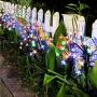 Garden Solar Lights Outdoor Decorative - LED Solar Powered Fairy Landscape Tree Lights|Beautiful Solar Flower Lights for Pathway Patio Yard Deck Walkway|Christmas Party Decor Yellow-Color 2Pack