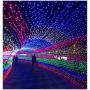 Sheila 65.6 Feet 200LED String Lights 8 Mode Flashing Controller Fairy Twinkle Decorative Lights for Kids Bedroom, Wedding, Chirstmas Tree, Festival Party, Garden, Patio, Room Decoration (Purple)