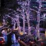 VTECHOLOGY 105FT 300 LED Christmas String Lights Outdoor Indoor Christmas Tree Lights UL Certified 8 Modes with End-to End Plug for Christmas Trees, Patio, Garden, Party, Wedding (Multi Color)