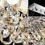7PM W40'' x D10'' Modern Rain Drop Rectangle Clear K9 Crystal Chandelier Pendant Lamp Lighting Fixture 8 Lights for Dining Living Bedroom Room (Chrome Frame)