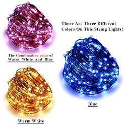 ErChen Dual-Color LED String Lights, 66 FT 200 LEDs Plug in Copper Wire Color Changing 8 Modes Dimmable Fairy Lights with Remote Timer for Indoor Outdoor Christmas (Blue/Warm White)