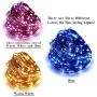 ErChen Dual-Color LED String Lights, 66 FT 200 LEDs Plug in Copper Wire Color Changing 8 Modes Dimmable Fairy Lights with Remote Timer for Indoor Outdoor Christmas (Blue/Warm White)