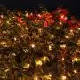 Joiedomi 2x100 Warm White Incandescent Christmas Net Lights for Indoor & Outdoor Decorations, Christmas Events, Christmas Eve Night Decor, Christmas Tree, Bushes