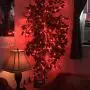 ER CHEN Fairy Lights Plug in, 99Ft/30M 300 LED Silver Coated Copper Wire Starry String Lights Outdoor/Indoor Decorative Lights for Bedroom, Patio, Garden, Party, Christmas Tree (Red)