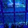 LED String Lights Net Mesh Lights 9.8ft x 6.6ft 200 Dimmable with Controller Tree-wrap with 8 Modes for Wedding Christmas Outdoor Garden (Blue)