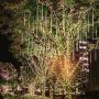 Solar Light Outdoor,MUEQU Waterproof Christmas String Lights Solar LED Meteor Shower Rain Lights Falling Raindrop Light 8Tubes 288LED Fairy Lights for Xmas Tree Garden Party Decor (Warm White)