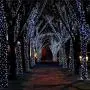 OZS- 2Pack Each 72FT 200LED Solar Lights Outdoor, Upgraded Super Bright Solar String Lights Outdoor Waterproof, 8 Modes Solar Christmas Lights for Wedding Patio Garden Tree Party (Cool White) OZS- 2Pack Each 72FT 200LED Solar Lights Outdoor, Upgraded Super Bright Solar String Lights Outdoor Waterproof, 8 Modes Solar Christmas Lights for Wedding Patio Garden Tree Party (Cool White)