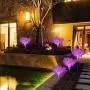 Neporal Solar-Garden-Lights-Outdoor-Decorative, Solar Flowers, 2 Pack Garden Lights Solar Powered IP65 Waterproof Solar Stake Lights Outdoor Decorative Garden Decor for Yard Patio Garden Pathway(Pink Neporal Solar-Garden-Lights-Outdoor-Decorative, Solar Flowers, 2 Pack Garden Lights Solar Powered IP65 Waterproof Solar Stake Lights Outdoor Decorative Garden Decor for Yard Patio Garden Pathway(Pink