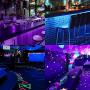 UV Black Light Strip Kit, 33ft LED 12V Flexible Blacklight Nightlights Fixtures with Remote, CIYOYO 2021 10m Ribbon 600 Units Beads for Indoor Bedroom Dance Glow Dark Party Posters Birthday Wedding